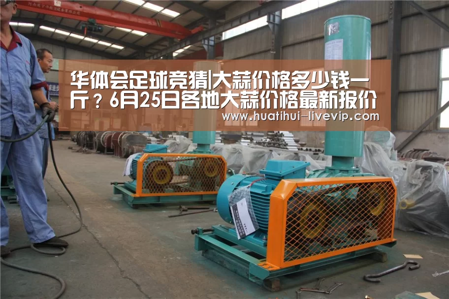 华体会足球竞猜|大蒜价格多少钱一斤?6月25日各地大蒜价格最新报价(图1) 华体会体育赛事直播