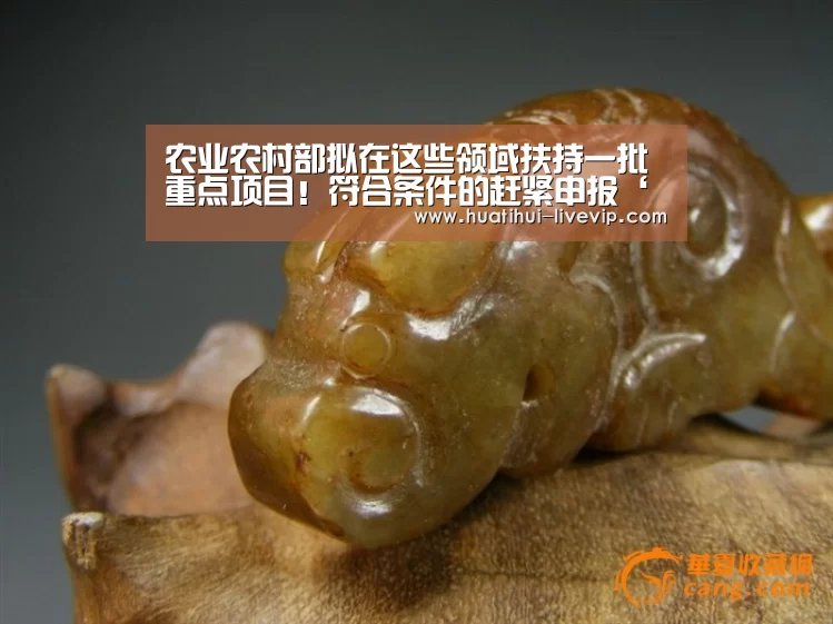 农业农村部拟在这些领域扶持一批重点项目!符合条件的赶紧申报‘华体会体育赛事直播’(图1) 华体会足球竞猜